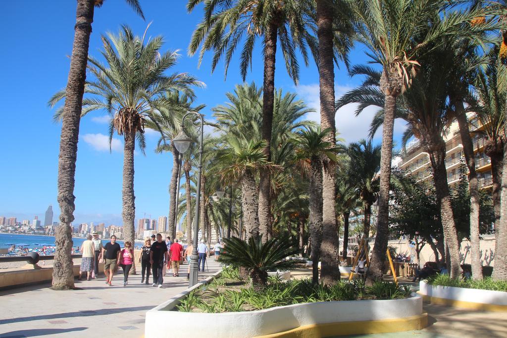 Muchosol Apartment Benidorm Exterior photo